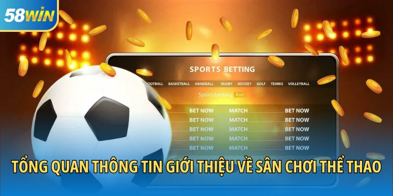 Tổng quan thông tin giới thiệu về sân chơi thể thao